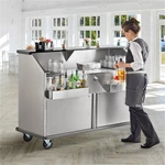 Portable Stainless Steel Bar With Standard Ice Bin And Two Removable Speed Rails Includes Removable Ice Bin Cover